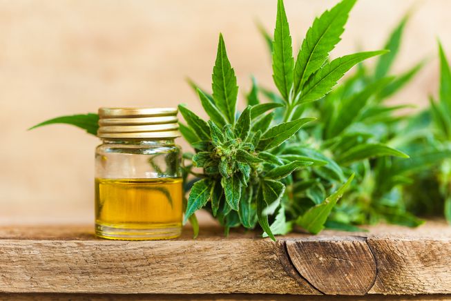 What are the Facts About CBD Oil?