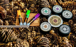 15 SURPRISING FACTS ABOUT CBD THAT EVERYONE SHOULD KNOW