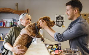 WHY YOU NEED CBD WHOLESALE PRODUCTS FOR PET CARE