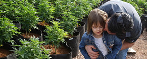 CHARLOTTE FIGI AND CBD FOR CHILDREN