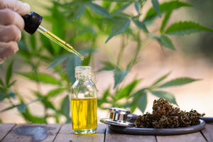 WHO CAN USE CBD PRODUCTS FOR PAIN?